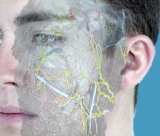 Diciembre: curso de aplicaci�n de botox y rellenos