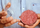 La carne in vitro modifica el concepto de uno de los paradigmas alimenticios m�s antiguos y tradicionales